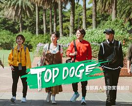 91涩漫《TOP DOG》免费在线观看